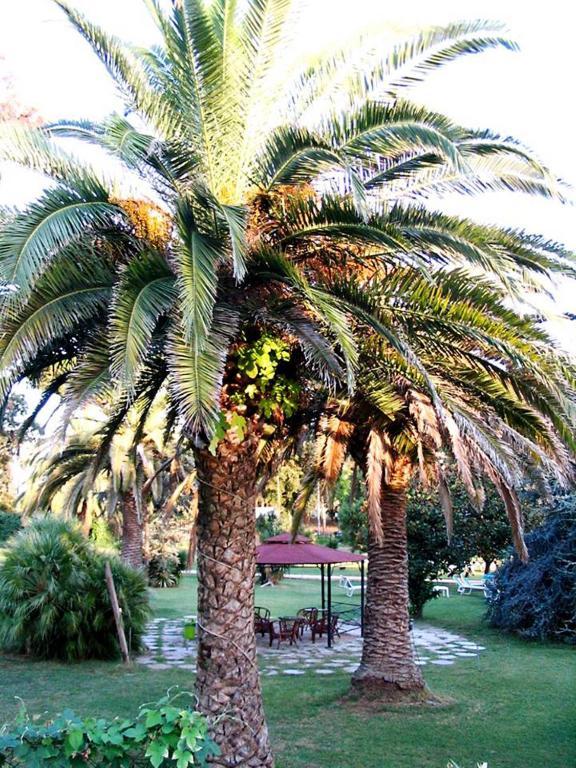 Hotel Parco Dei Principi Anzio Pokoj fotografie